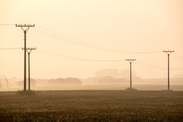 Fototapeta na wymiar sunset over the fields in fog
