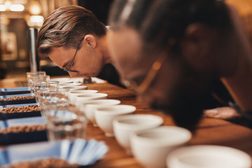 Baristas bending over rows of fresh coffee at a tasting