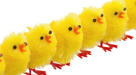 Abundance of easter chicks, selective focus