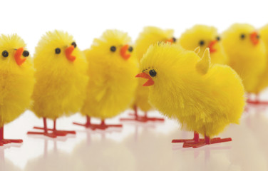 Abundance of easter chicks, selective focus