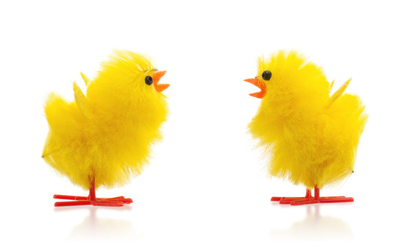 Two easter chicks, isolated