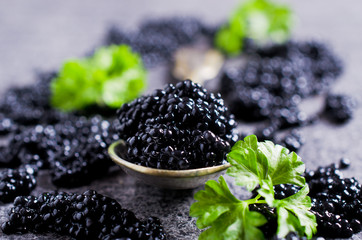 Black caviar in the spoon - obrazy, fototapety, plakaty