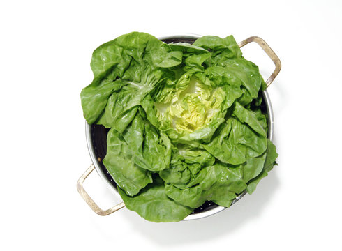 Insalata tegame