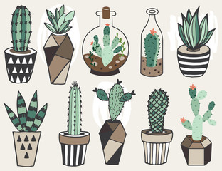 Vector set with succulents flowers and glass terrariums. - 104476307