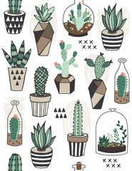 Seamless pattern with succulents in terrarium. 