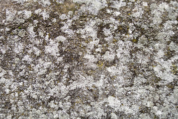 Stone surface 