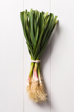 Close-up of a bunch of onions tied