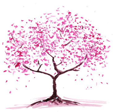 Abstract flowering tree. Watercolor painting, the color pink. Isolated on white background