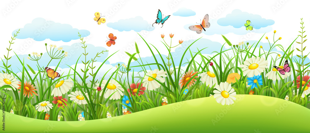 Wall mural summer landscape banner with meadow flowers, grass and butterflies