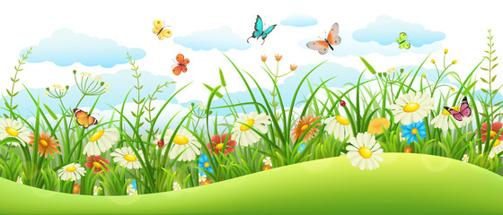 Naklejki  Letni sztandar krajobrazowy z kwiatami łąkowymi, trawą i motylami