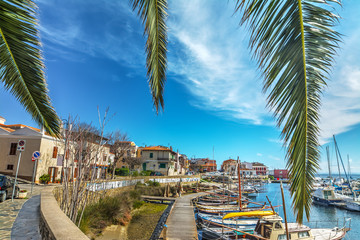 palm branches in Stintino old harbor