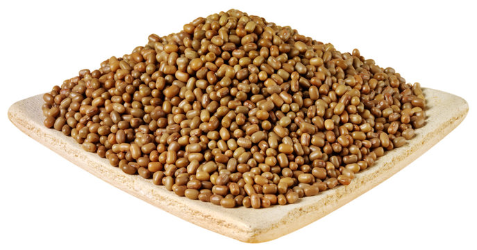 DISH OF MUTH / MOTH BEANS CUT OUT