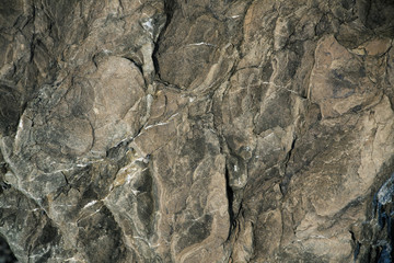 Brown stone with protuberances