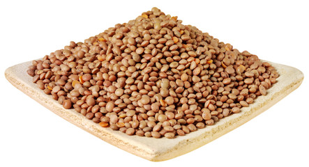 DISH OF BROWN LENTILS CUT OUT