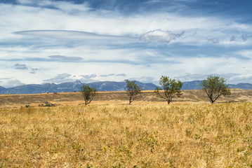 Aragon (Spain): summer landscape