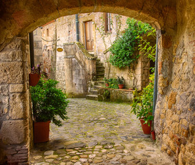 Fototapety  Wąska ulica średniowiecznego miasta tufowego Sorano z łukiem, zielonymi roślinami i brukiem, podróż Włochy tło