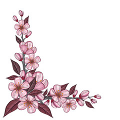 Tree branch drawing with pink cherry flowers for corner decoration, isolated on white