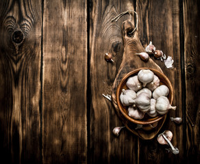 Garlic background . Fresh garlic on old wooden Board.