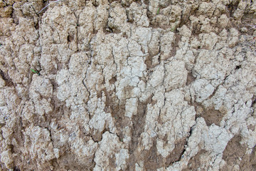 soil dirt texture with some fine grain in it