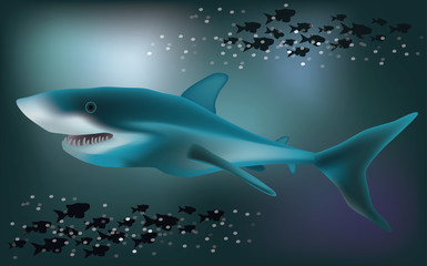 Underwater background with White Shark, vector illustration