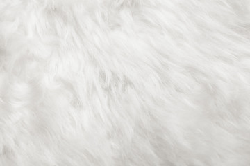 natural white fur background