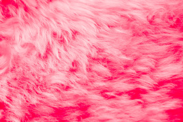 Fototapeta premium natural pink fur background