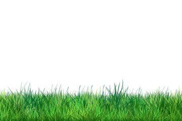Fototapeta na wymiar Spring Green Grass on white color background. Digital illustration, poster