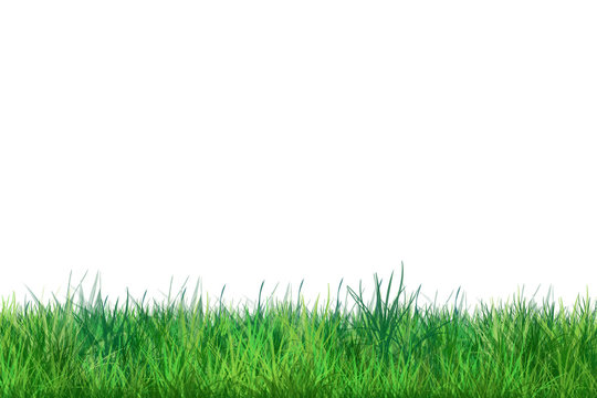Spring Green Grass on white color background. Digital illustration, poster © sofiartmedia