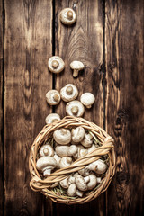 Fresh mushrooms in basket. On wooden background.