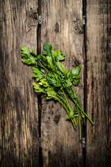 Green parsley. On wooden background.