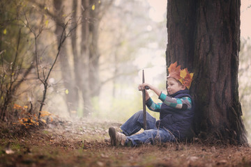 The boy's portrait with a crown on the head and a sword in hands