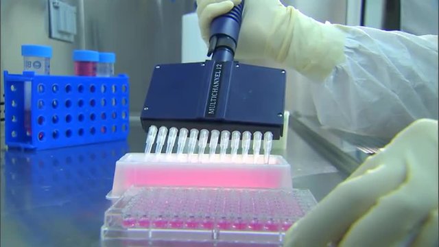 CDC scientists work in a lab to test for avian bird flu.