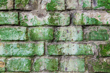 green brick wall background