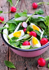Salad with cucumber, radish, ramson, spinach, boiled eggs and olive oil.