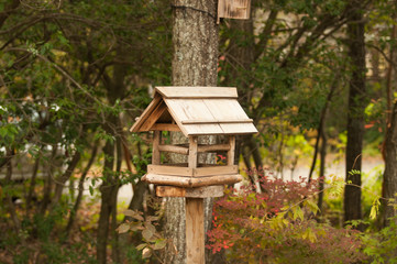 Artificial house of bird in the forest