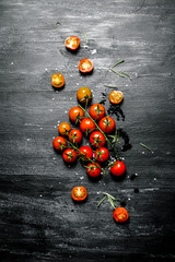 Red tomatoes on a branch.
