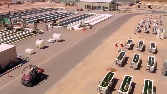 An outdoor algae farm develops biofuel.