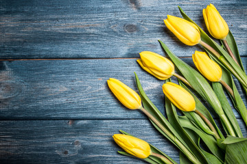 Yellow tulips flowers on blue grunge wood.