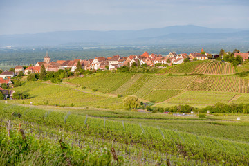 Fototapeta na wymiar Village of Riquewihr in Alsace, France