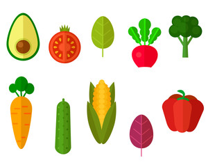 Various useful vegetables.Vector illustration. Vector illustration