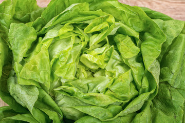 The detail of the leaves of spring lettuce