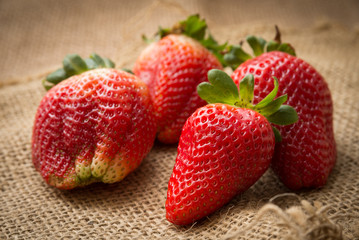 Fragole fresche su juta