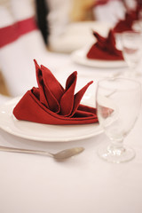 A Table Set for a Reception