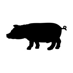 Black silhouette of pig isolated on white background.