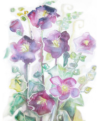 Violet mallow flowers. Watercolor hand painted illustration of violet mallow flowers on long stems.