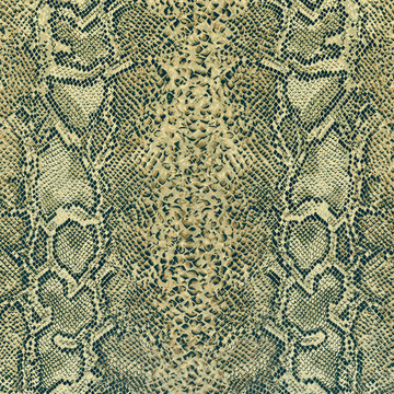 texture of print fabric striped snake leather