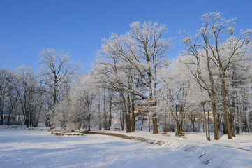Zimowy park