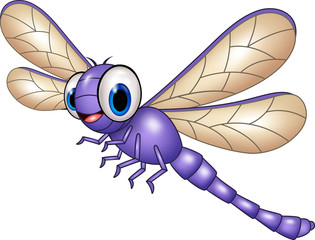 Cartoon funny dragonfly isolated on white background