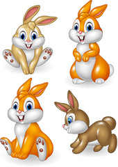 Fototapeta premium Cute bunny collection set isolated on white background