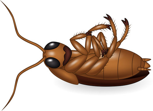 Cartoon dead cockroach